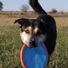 Profilbild von Jake