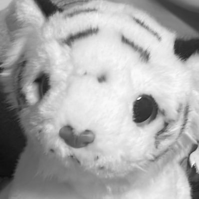 131orang's profile picture