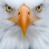 B D R's profile picture
