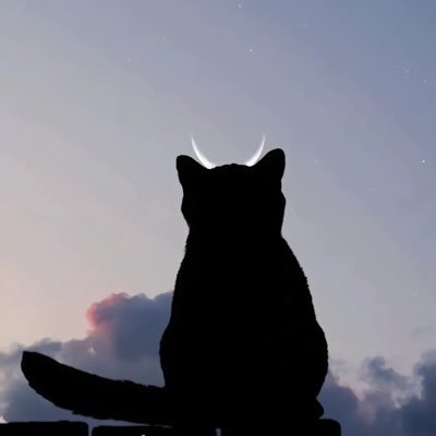 月亮先生's profile picture