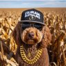 K's profile picture