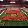 Otto44's profile picture