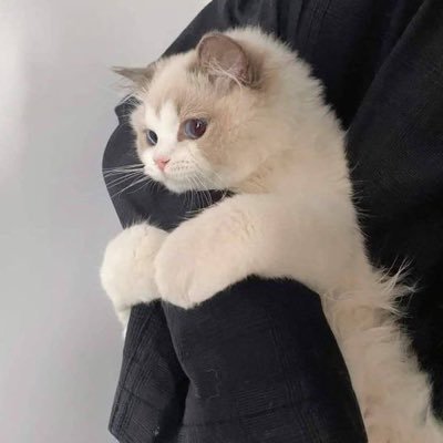 redumhitam's profile picture