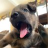Destiny profil fotoğrafı
