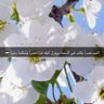 إن لم يكن ربي لها فمن لها profil fotoğrafı