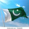 rana007. mehmood's profile picture