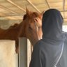 Фото профиля marwa elmezoughi