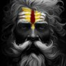 WritterSanataniAgain's profile picture
