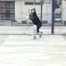 PsyCric 的头像