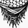 Фото профиля 🔻🇪🇬Abosalah 🇵🇸❤️