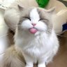 Antidepressant Content 的头像