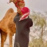 Profilbild von دخيل