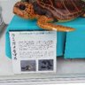 ソラソラ 的头像