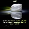 Profilbild von القلب 🤍 الكبير عاد ينبض من جديد 💓💓💓