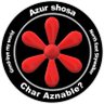 Фото профиля アズル少佐(Char* Aznable??)