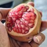 Benang Merah profil fotoğrafı