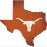 Texan37 🇺🇸 🤘🏽's profile picture
