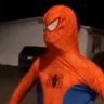 Profilbild von Spider king