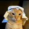 Elvis.... (El Vistor)'s profile picture