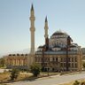 papatya profil fotoğrafı