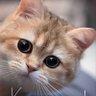 Виталий's profile picture
