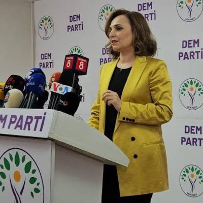 aysegul__dogan's profile picture