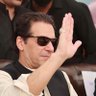 Profilbild von Pti_tiger