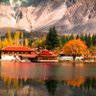 Фото профиля Shangri-La News
