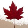 Фото профиля Perspective Canada 🇨🇦