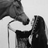 meesh✨🐎🇸🇦's profile picture
