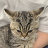 Keita's profile picture