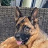 Kazz profil fotoğrafı