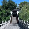 淼渺世间's profile picture