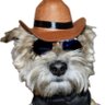 Profilbild von JKing