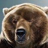 Фото профиля Urso pidão