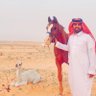 Safeer Althiabi's profile picture