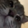 Profilbild von Ruby