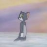 Judy's profile picture