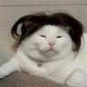 Amit Kumar's profile picture