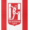 1balkesli's profile picture