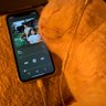 一个秋's profile picture