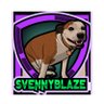Profilbild von Svennyblaze