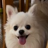 こあっぺ 的头像