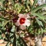 Фото профиля مـريم ..🌿
