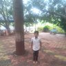 Shubhash Dhurve 的头像