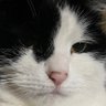 Profilbild von Morg1603
