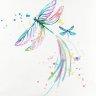 morrigan van der rosen's profile picture