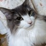 つっちぃ profil fotoğrafı