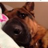 Mona profil fotoğrafı
