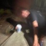 AL.XL's profile picture